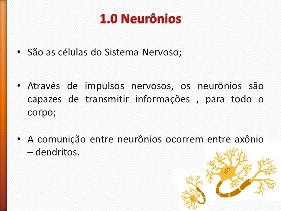 1.0 Neurônios São as células do Sistema Nervoso;