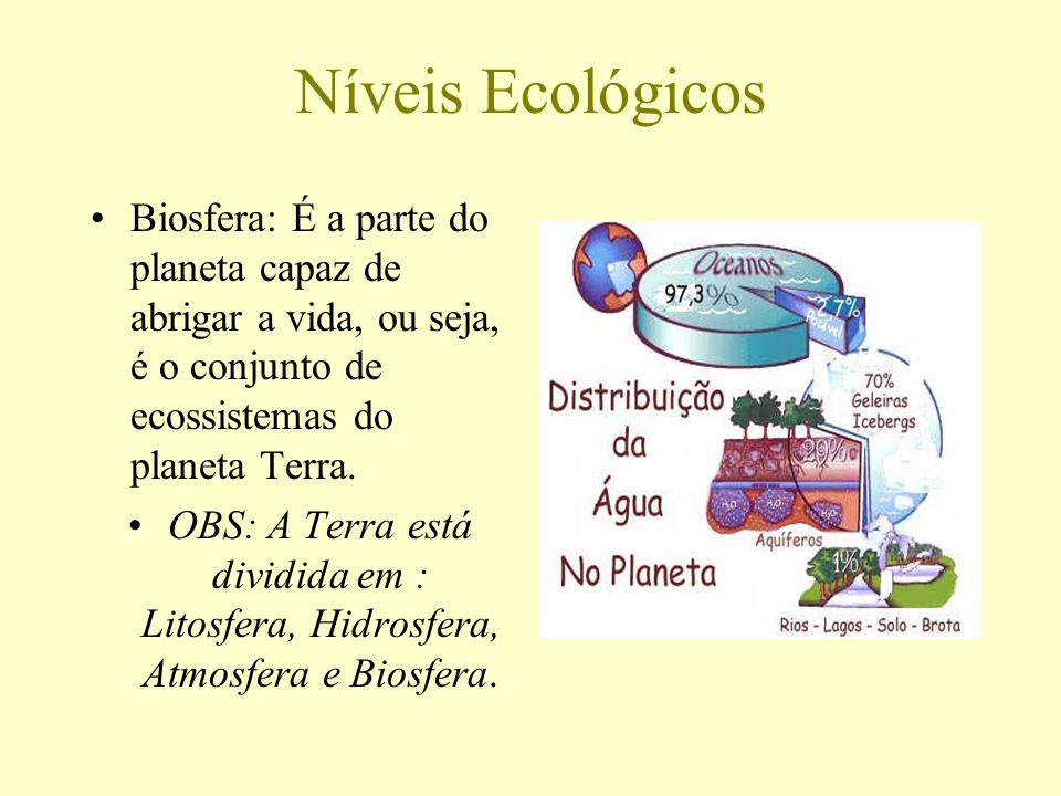 Níveis Ecológicos Biosfera: É a parte do planeta capaz de abrigar a vida, ou seja, é o conjunto de ecossistemas do planeta Terra.
