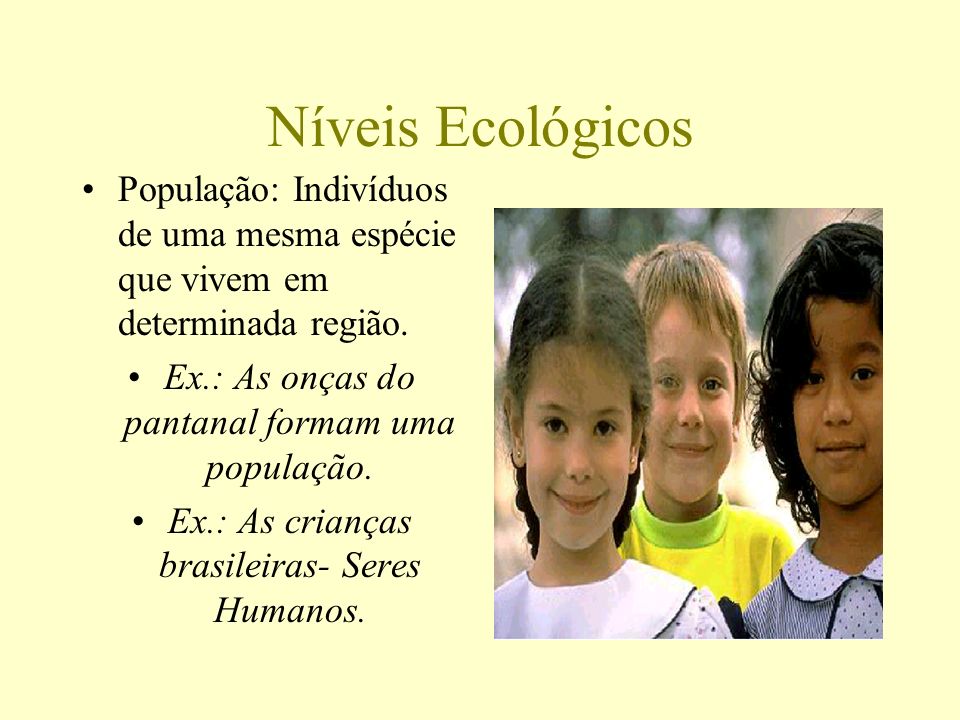 Níveis Ecológicos População: Indivíduos de uma mesma espécie que vivem em determinada região. Ex.: As onças do pantanal formam uma população.