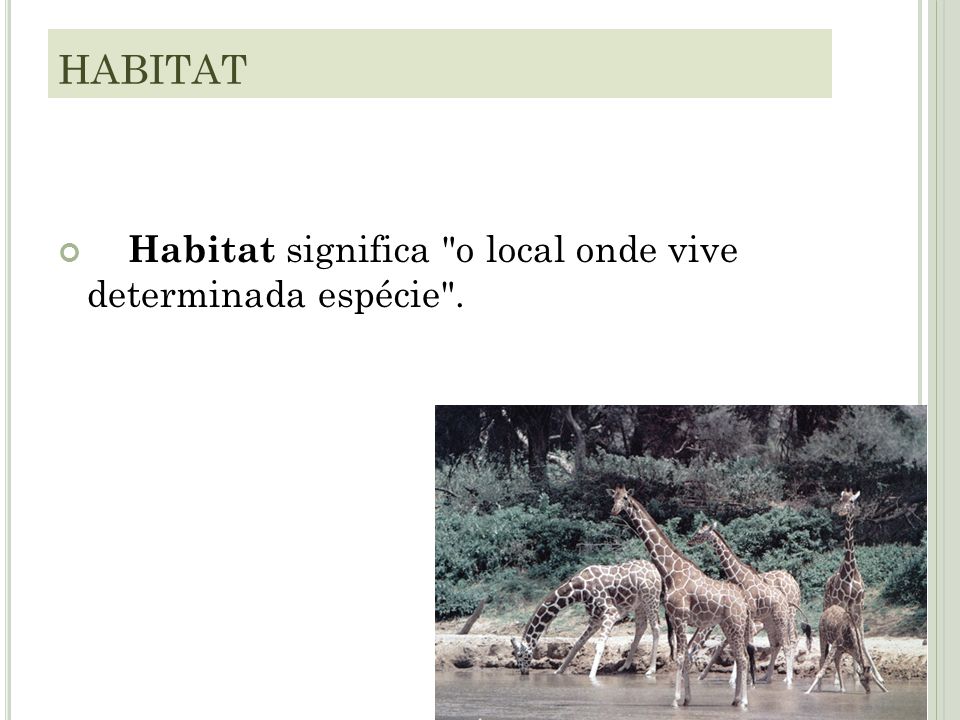 HABITAT Habitat significa o local onde vive determinada espécie .