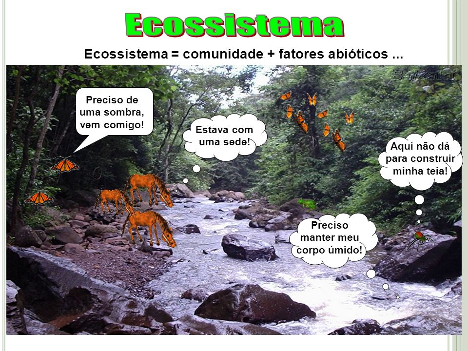 Ecossistema Ecossistema = comunidade + fatores abióticos ...