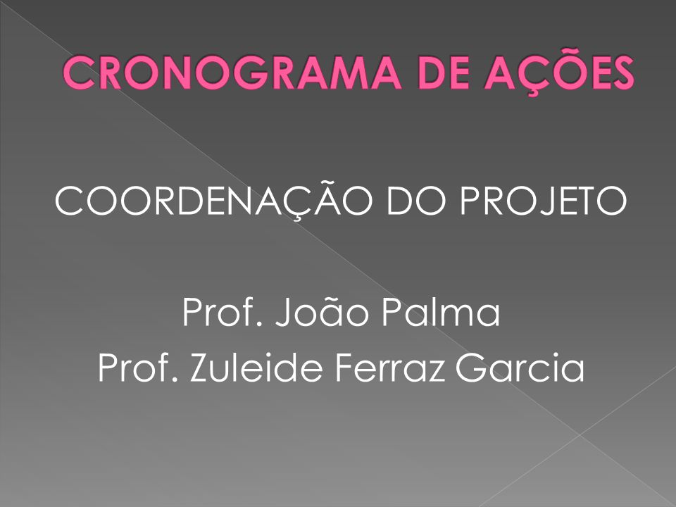 COORDENAÇÃO DO PROJETO Prof. João Palma Prof. Zuleide Ferraz Garcia