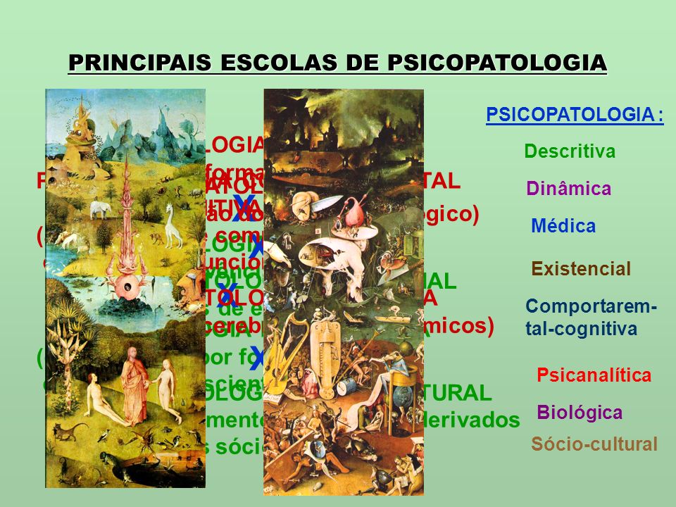 PRINCIPAIS ESCOLAS DE PSICOPATOLOGIA