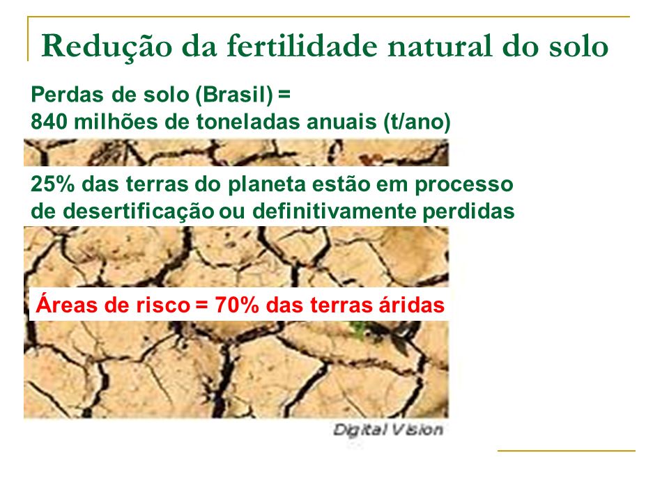 Redução da fertilidade natural do solo