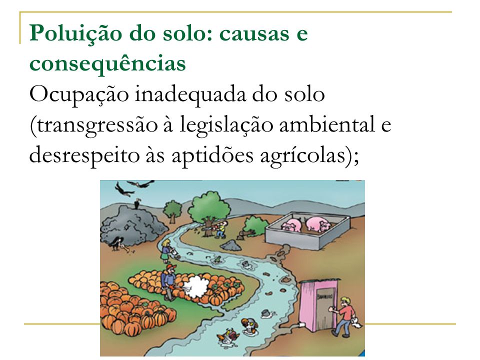 Poluição do solo: causas e consequências Ocupação inadequada do solo (transgressão à legislação ambiental e desrespeito às aptidões agrícolas);