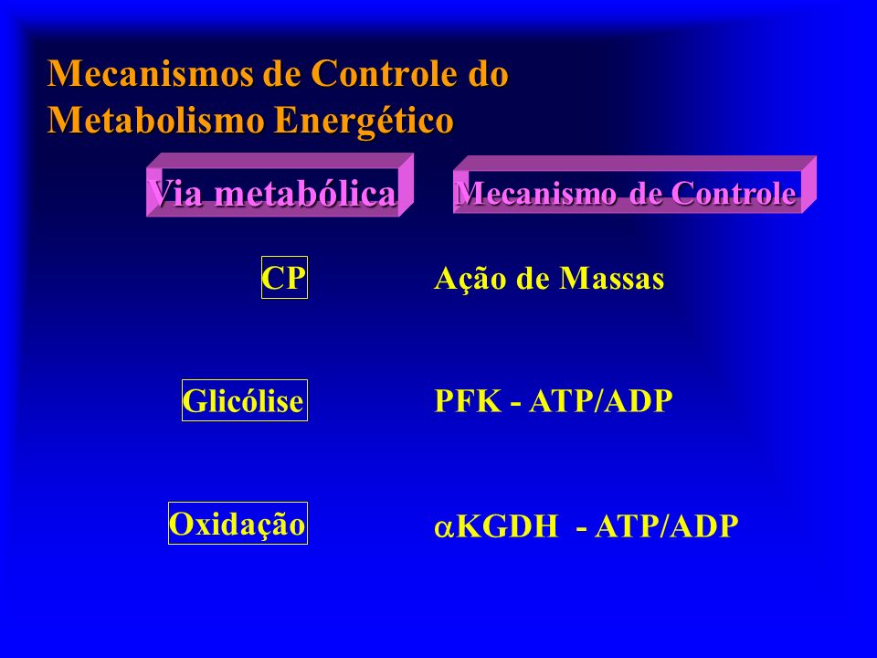 Mecanismos de Controle do Metabolismo Energético