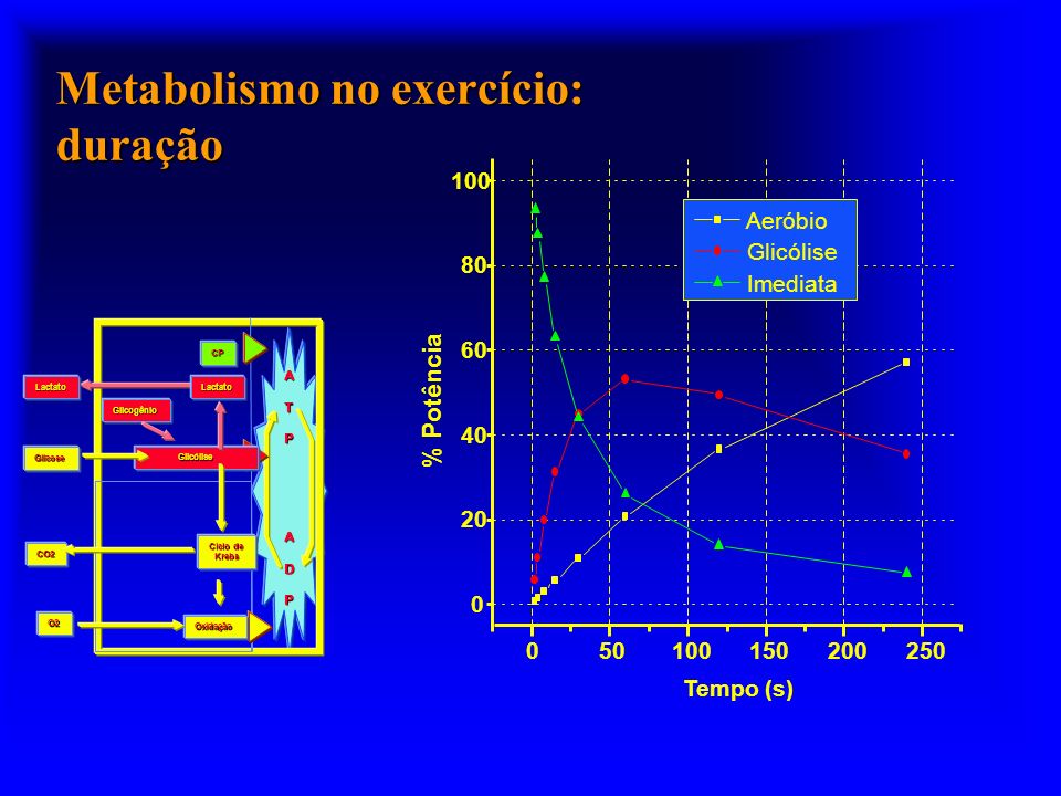 Metabolismo no exercício: duração
