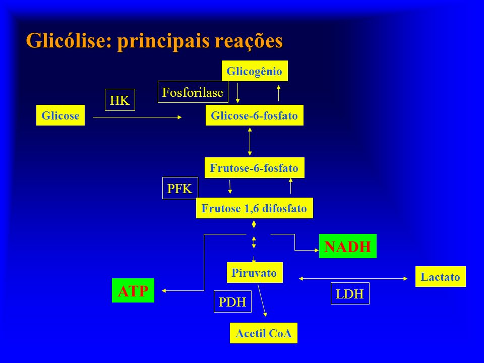 Glicólise: principais reações