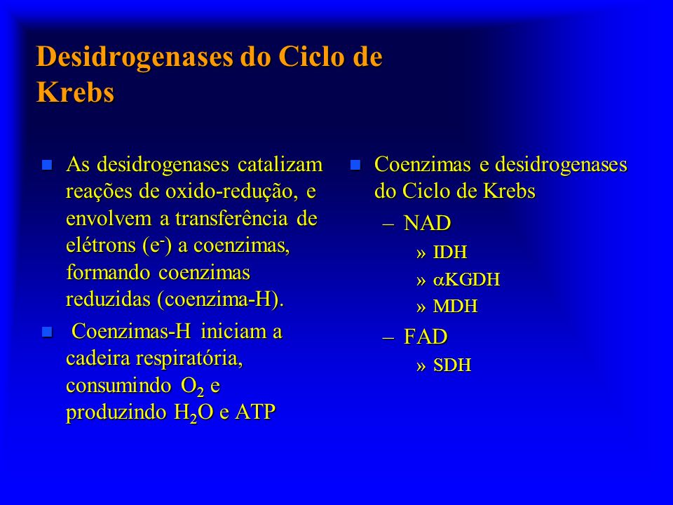 Desidrogenases do Ciclo de Krebs