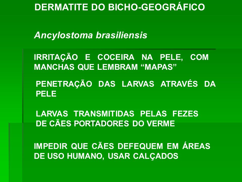 DERMATITE DO BICHO-GEOGRÁFICO Ancylostoma brasiliensis