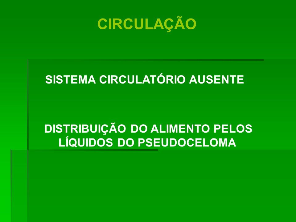 CIRCULAÇÃO SISTEMA CIRCULATÓRIO AUSENTE