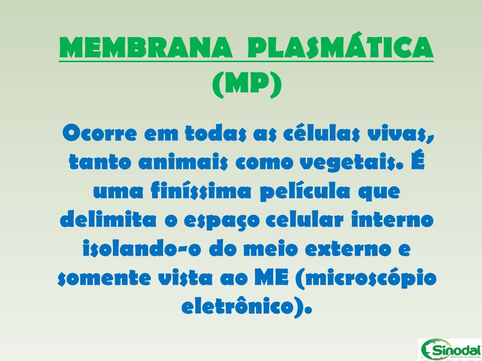 MEMBRANA PLASMÁTICA (MP)