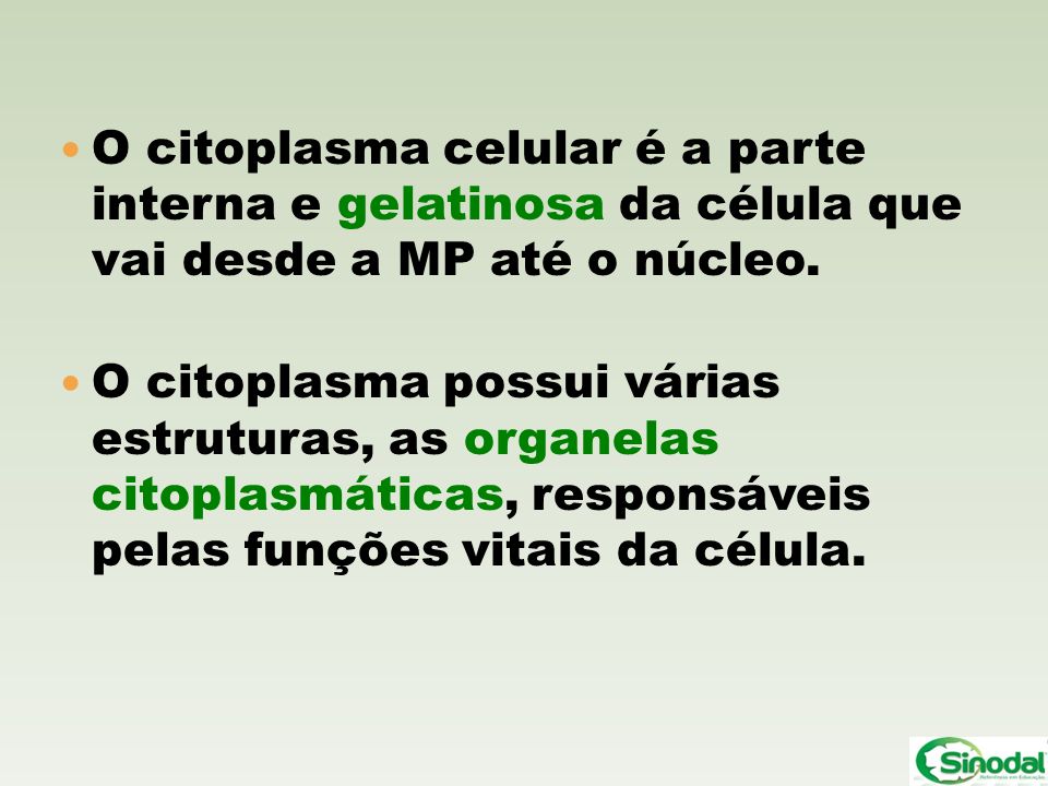 O citoplasma celular é a parte interna e gelatinosa da célula que vai desde a MP até o núcleo.