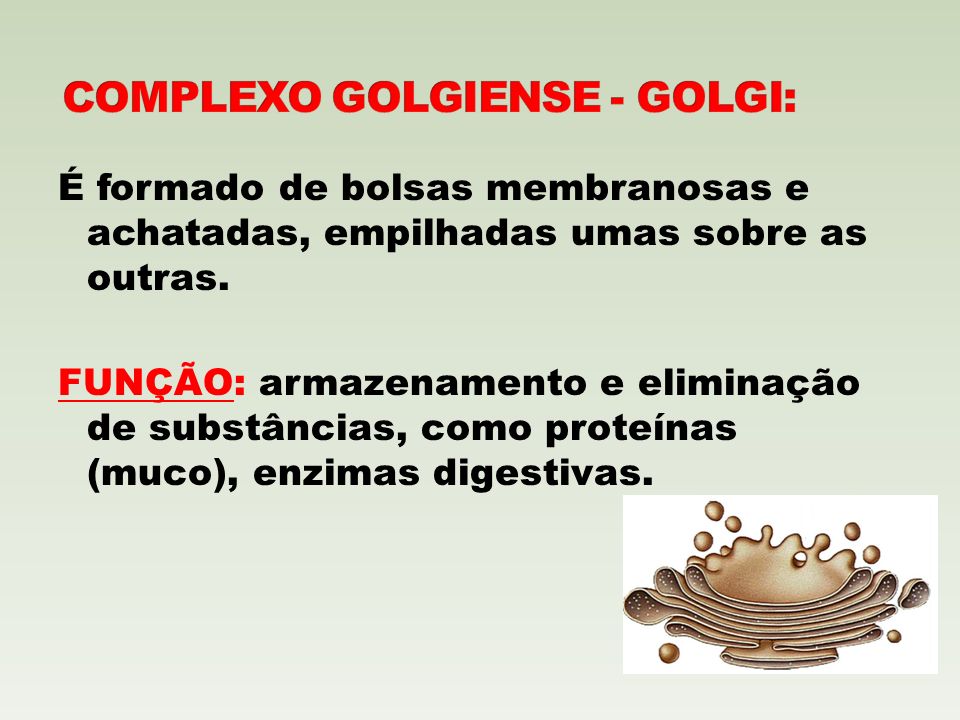 COMPLEXO GOLGIENSE - GOLGI: