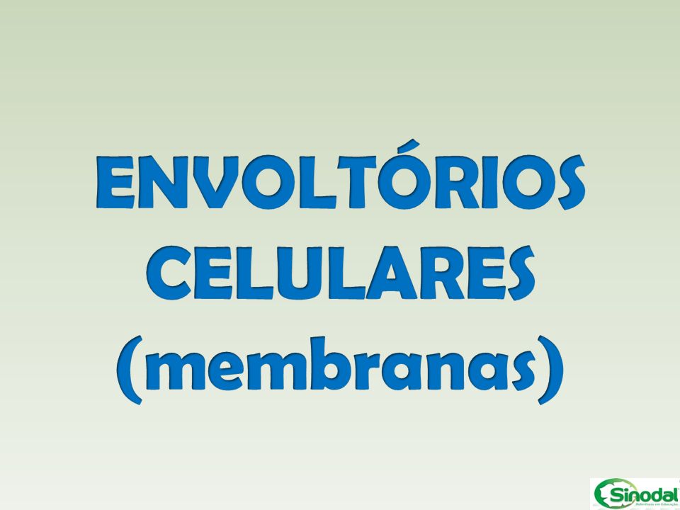 ENVOLTÓRIOS CELULARES (membranas)