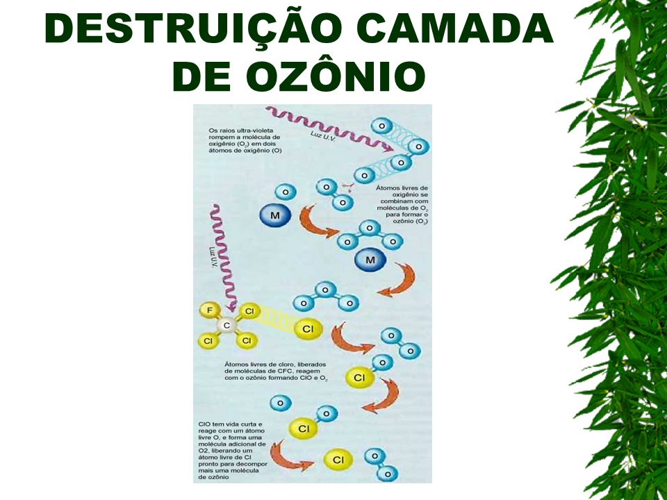 DESTRUIÇÃO CAMADA DE OZÔNIO