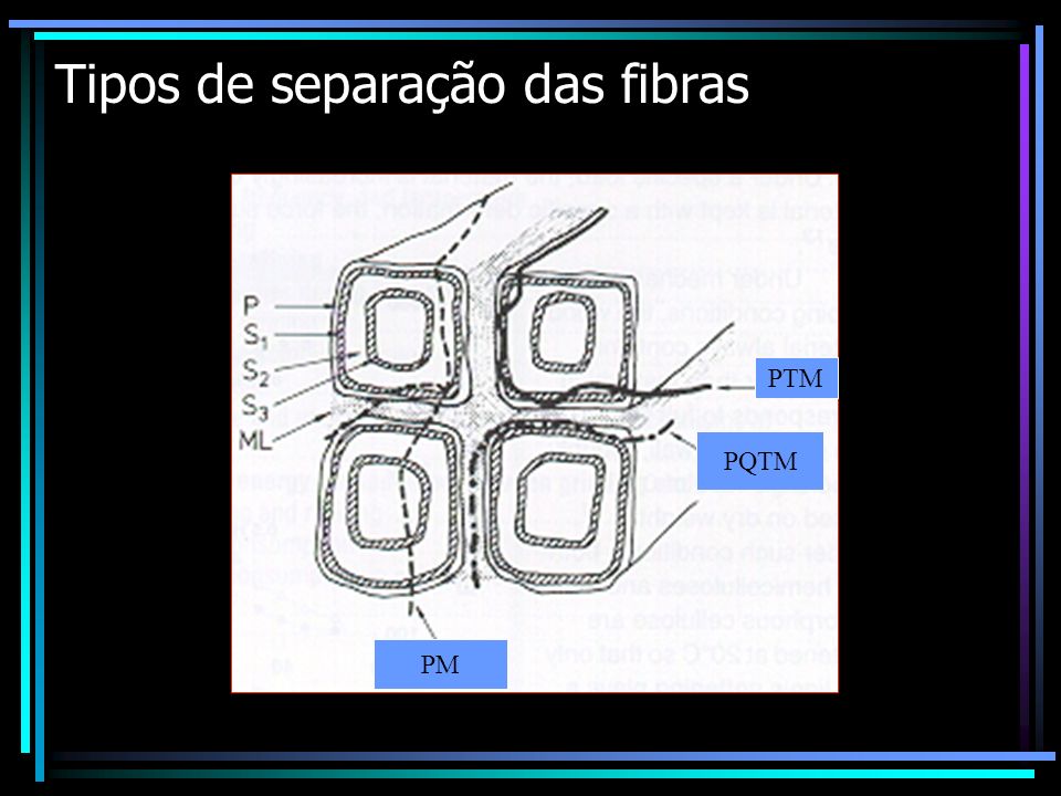 Tipos de separação das fibras