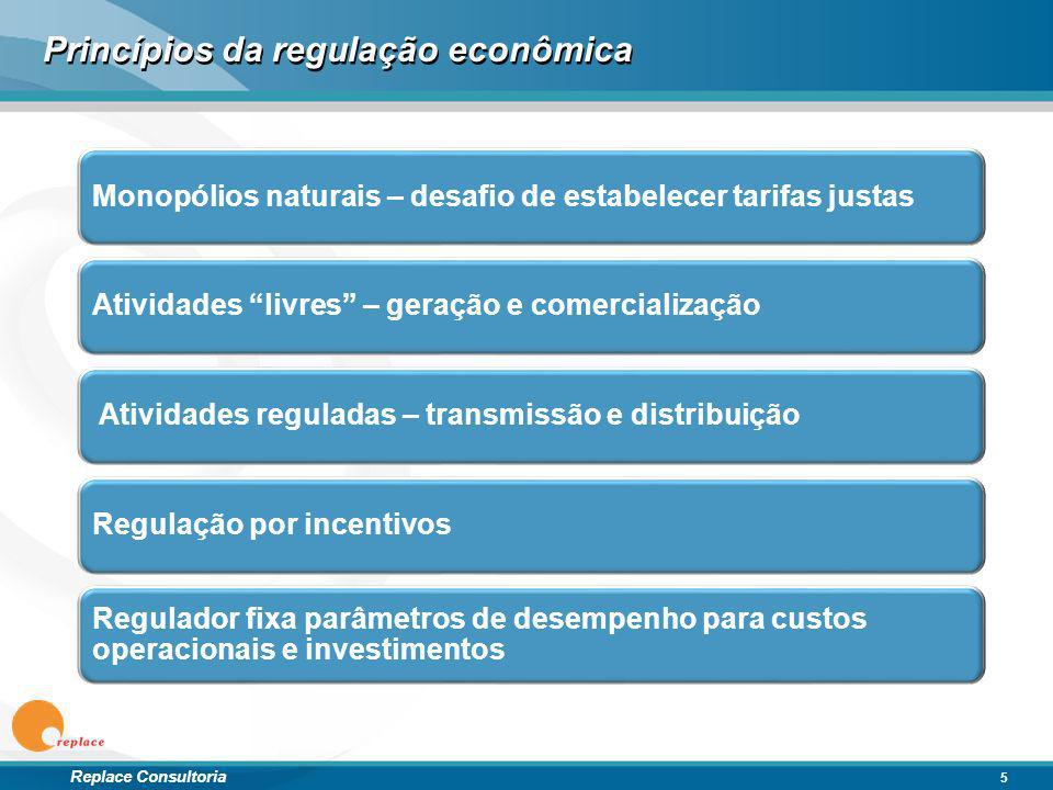 Princípios da regulação econômica
