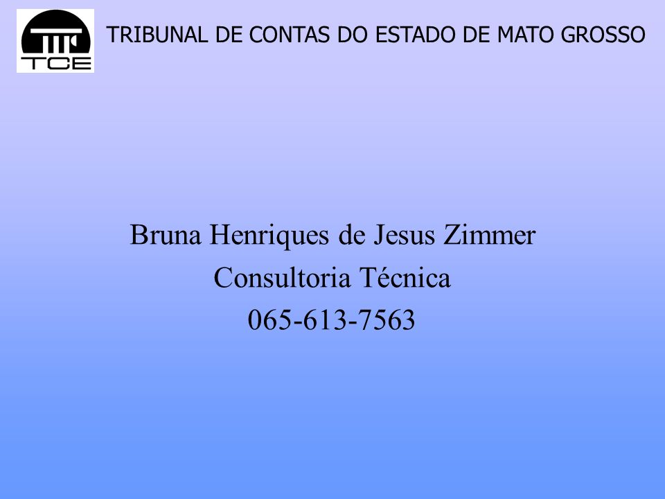 Bruna Henriques de Jesus Zimmer Consultoria Técnica