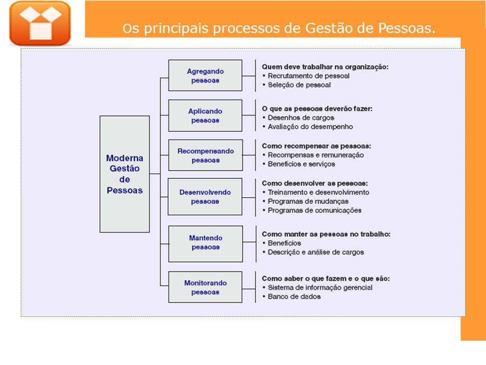 Os principais processos de Gestão de Pessoas.