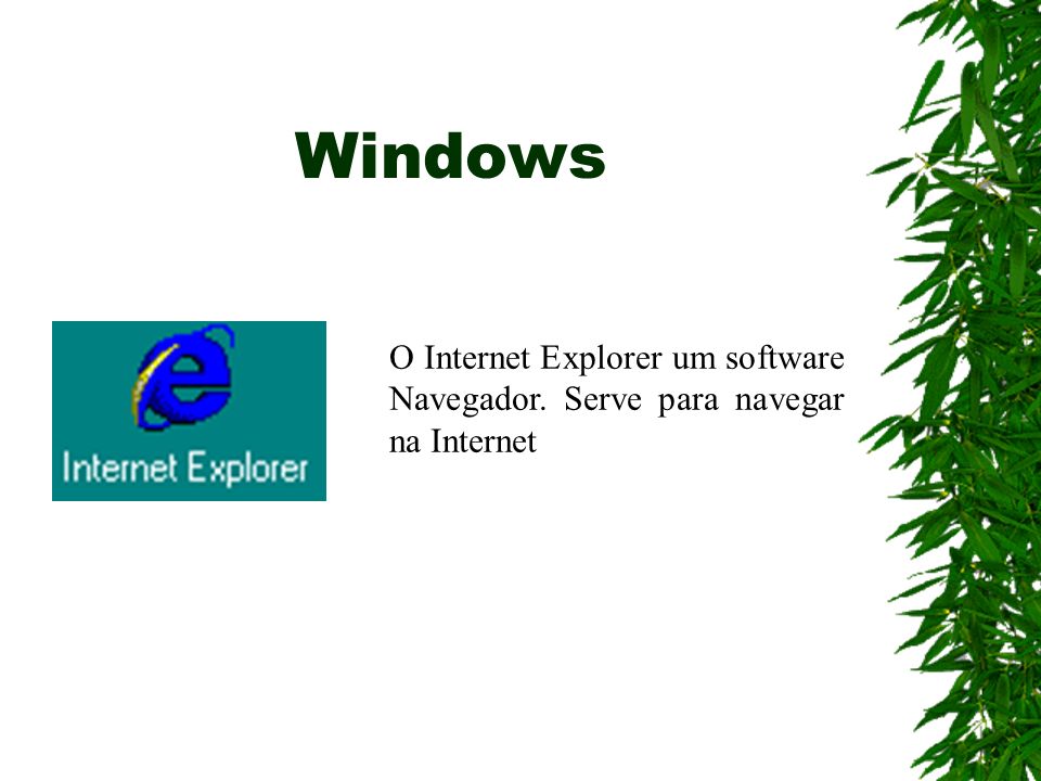 Windows O Internet Explorer um software Navegador. Serve para navegar na Internet