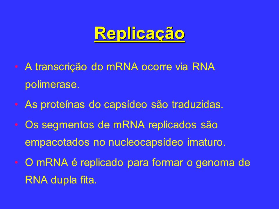 Replicação A transcrição do mRNA ocorre via RNA polimerase.