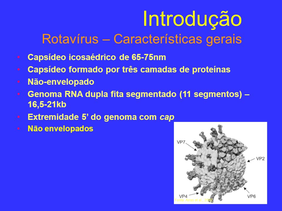 Introdução Rotavírus – Características gerais
