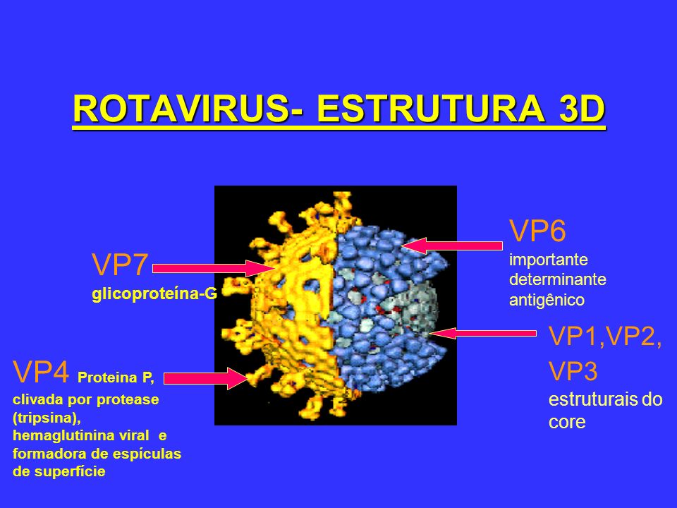 ROTAVIRUS- ESTRUTURA 3D