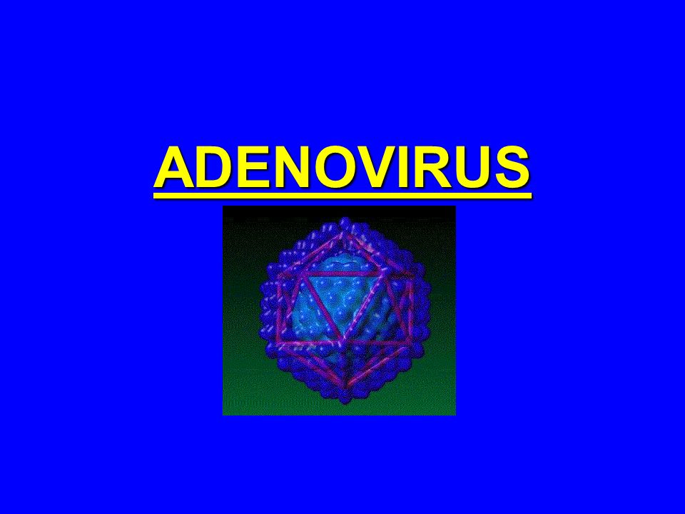 ADENOVIRUS