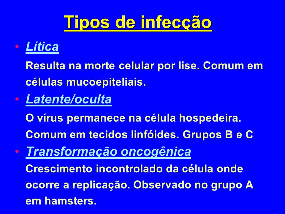 Tipos de infecção Lítica