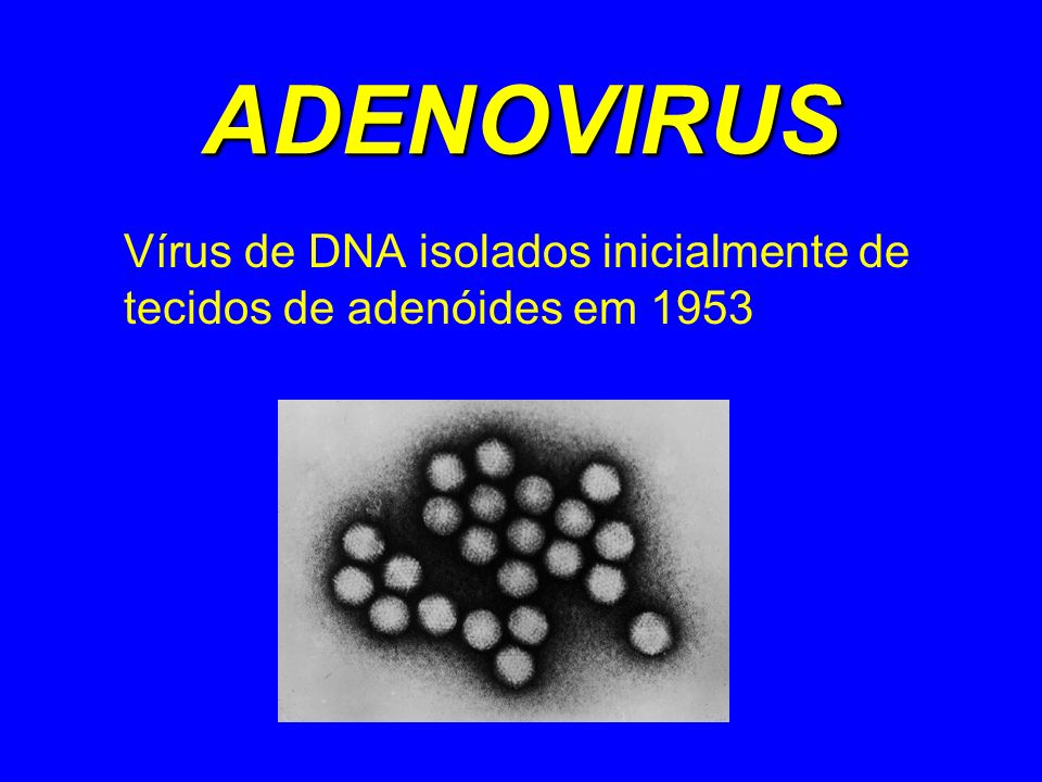 Vírus de DNA isolados inicialmente de tecidos de adenóides em 1953