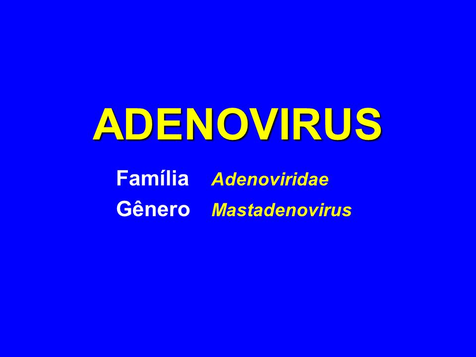 Família Adenoviridae Gênero Mastadenovirus