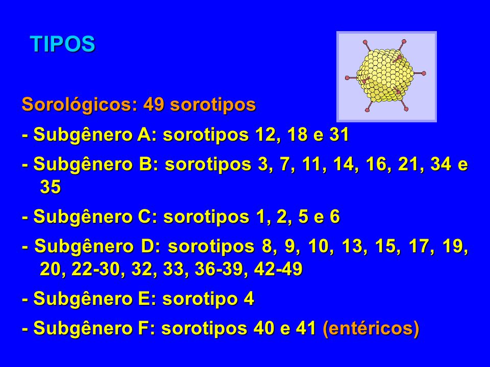 TIPOS Sorológicos: 49 sorotipos - Subgênero A: sorotipos 12, 18 e 31