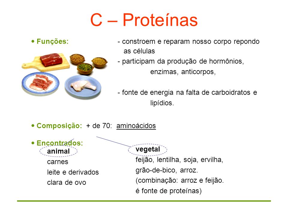 C – Proteínas Funções: - constroem e reparam nosso corpo repondo