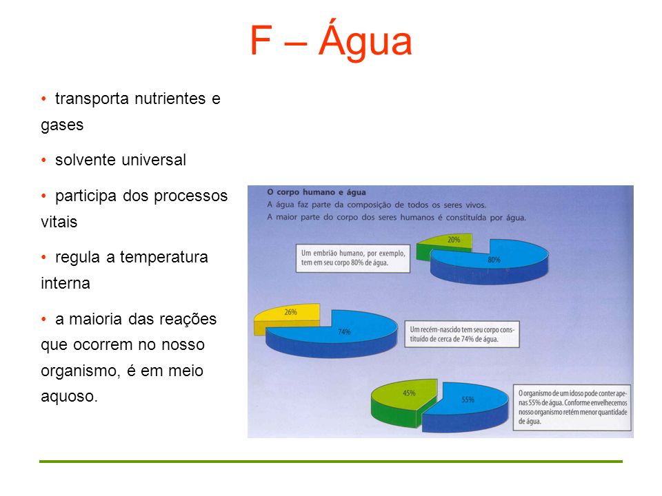 F – Água transporta nutrientes e gases solvente universal