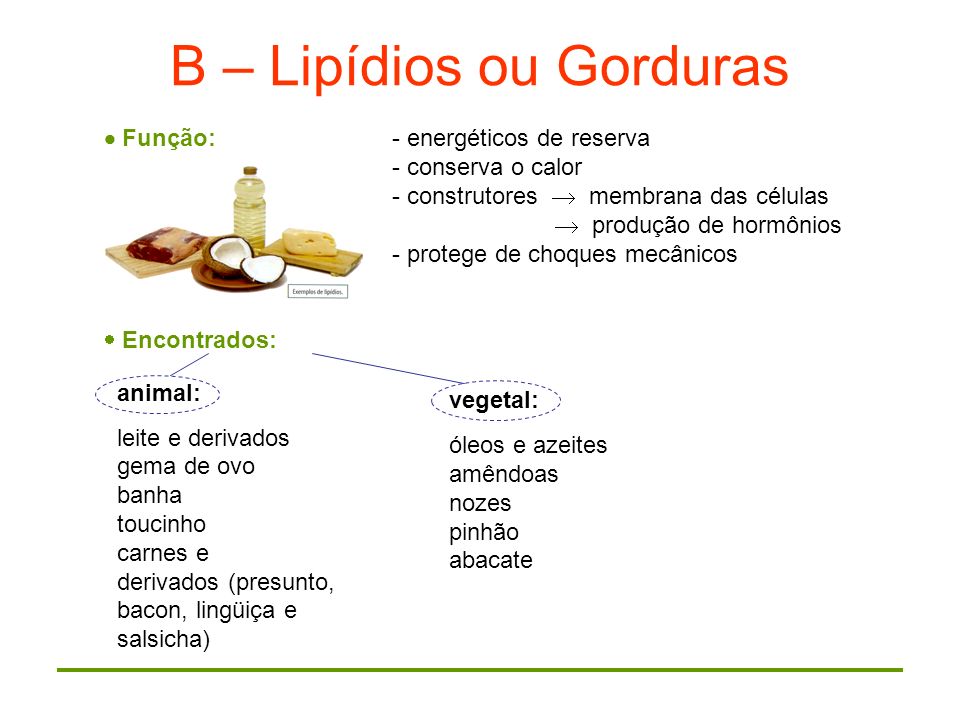 B – Lipídios ou Gorduras