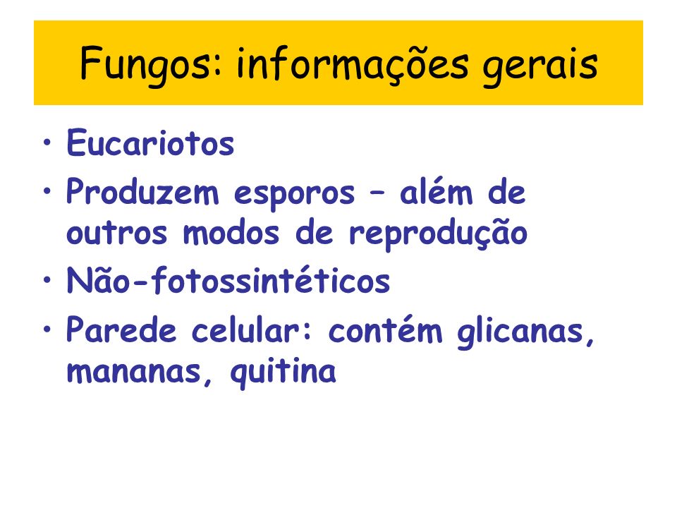 Fungos: informações gerais