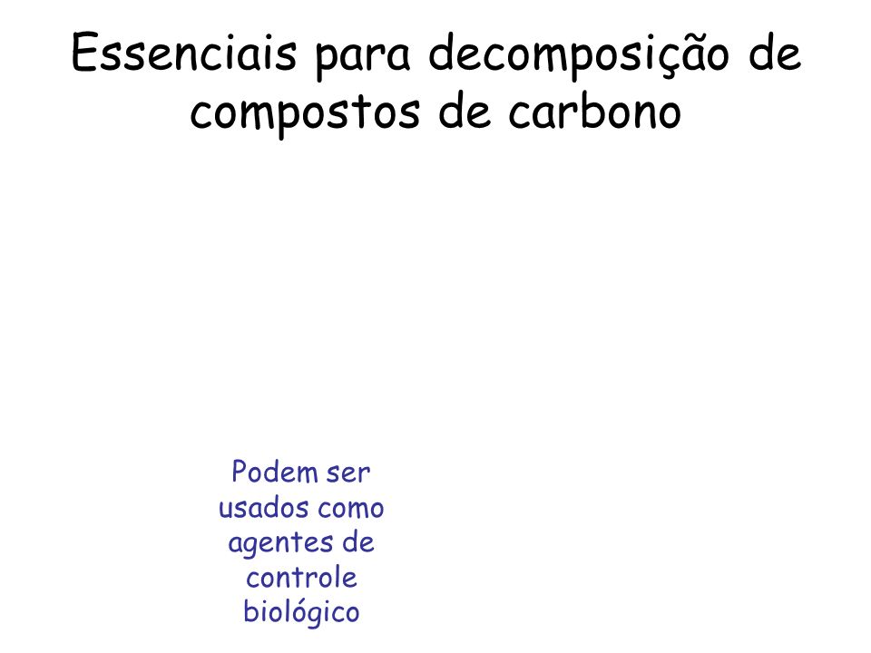 Essenciais para decomposição de compostos de carbono