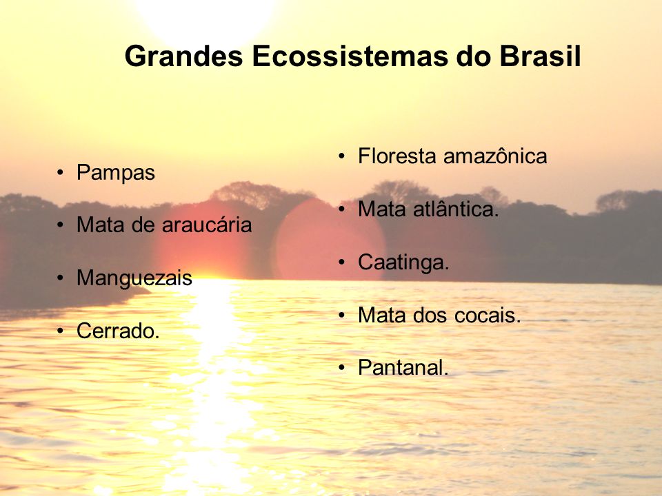 Grandes Ecossistemas do Brasil