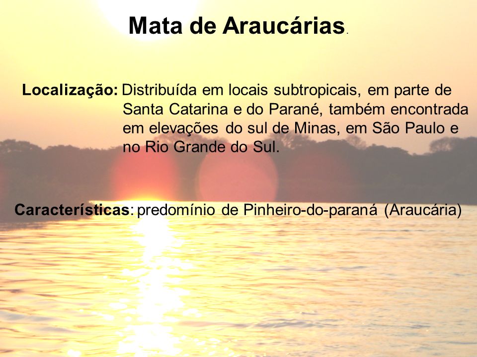 Mata de Araucárias. Localização: Distribuída em locais subtropicais, em parte de. Santa Catarina e do Parané, também encontrada.