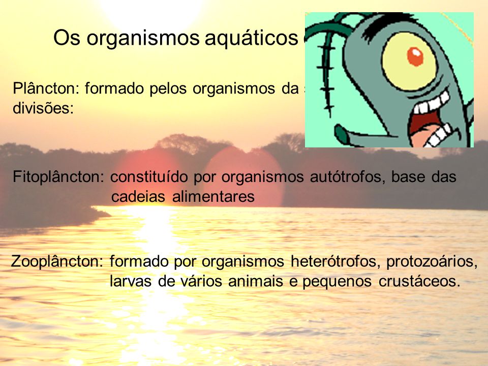 Os organismos aquáticos dividem-se em: