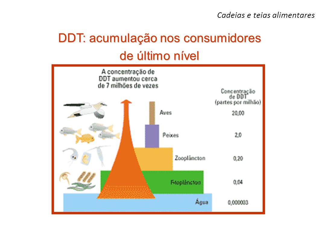 DDT: acumulação nos consumidores de último nível