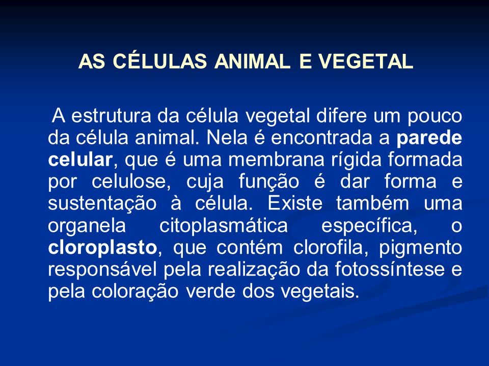 AS CÉLULAS ANIMAL E VEGETAL