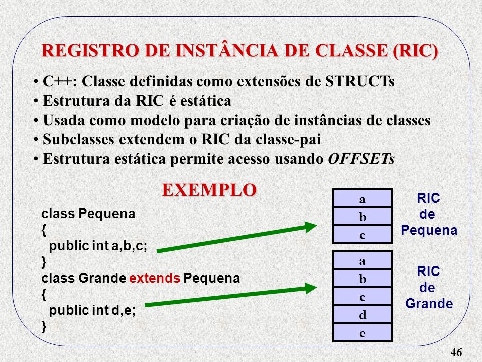 REGISTRO DE INSTÂNCIA DE CLASSE (RIC)