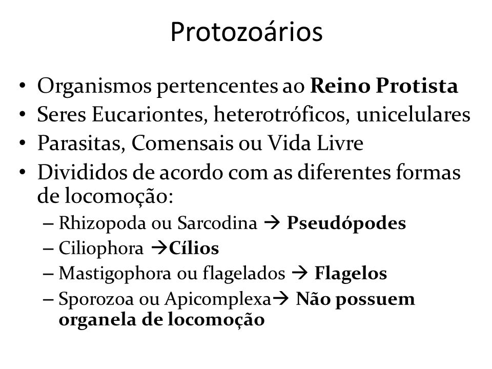 Protozoários Organismos pertencentes ao Reino Protista