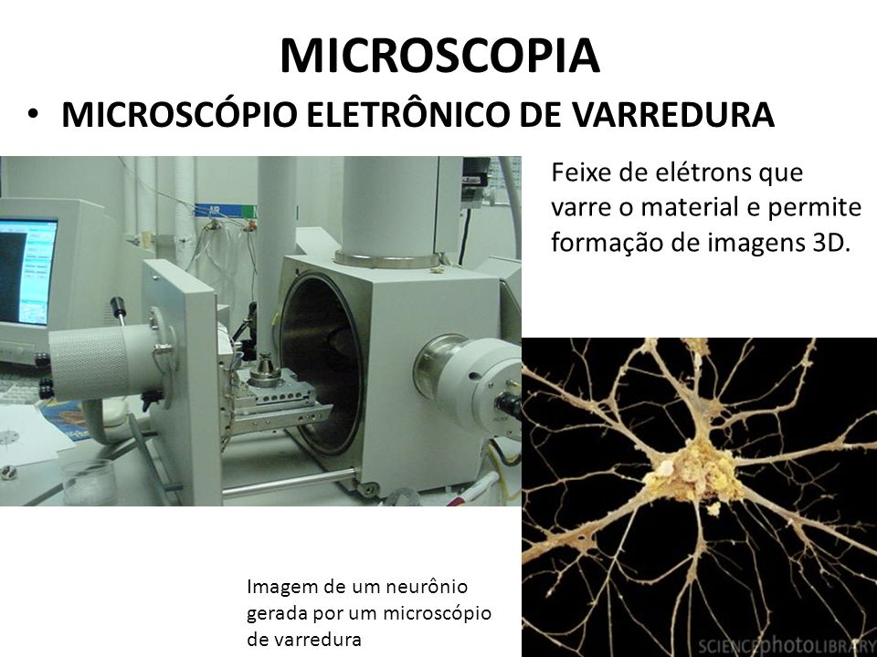MICROSCOPIA MICROSCÓPIO ELETRÔNICO DE VARREDURA