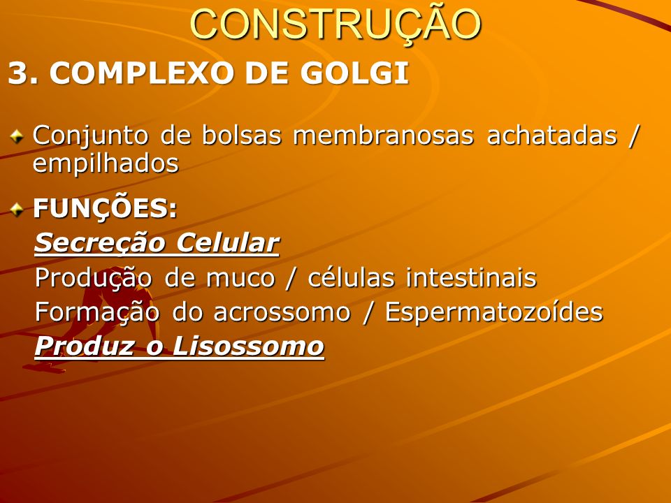 CONSTRUÇÃO 3. COMPLEXO DE GOLGI