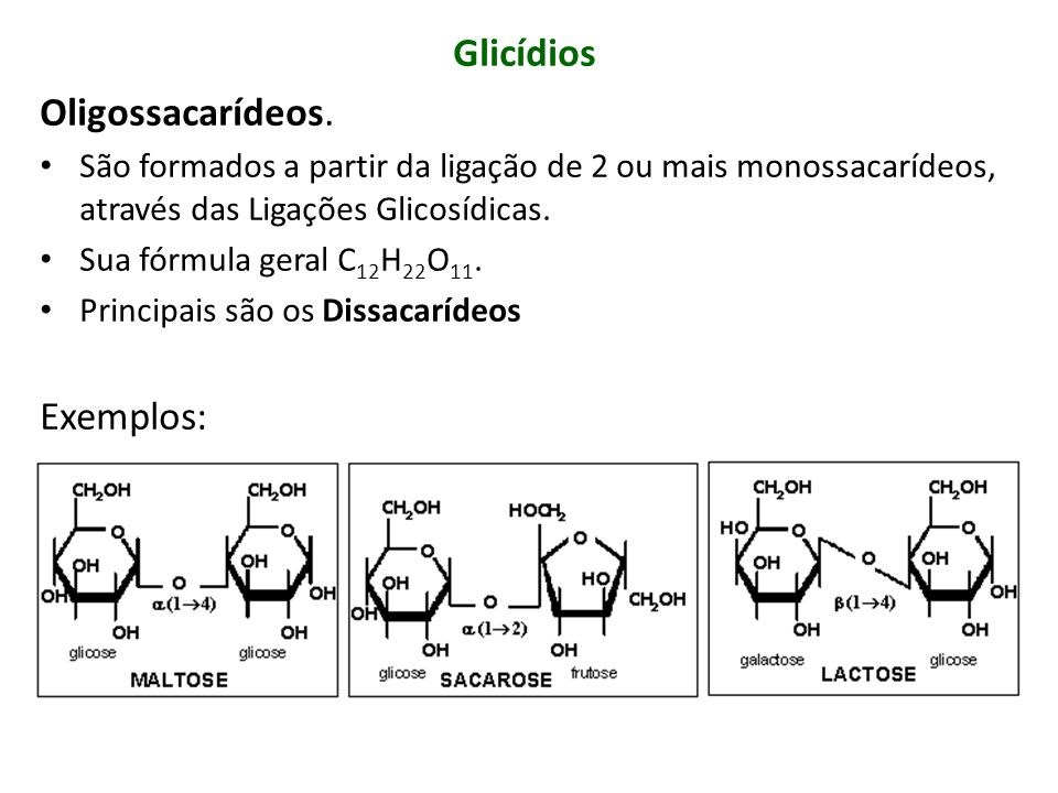 Glicídios Oligossacarídeos. Exemplos: