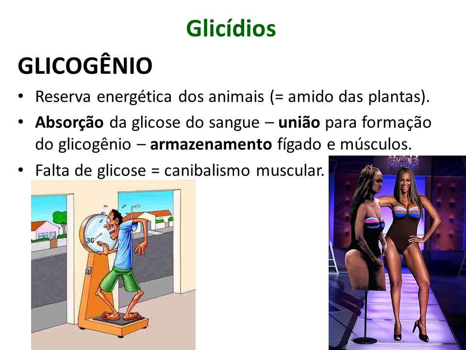 Glicídios GLICOGÊNIO. Reserva energética dos animais (= amido das plantas).
