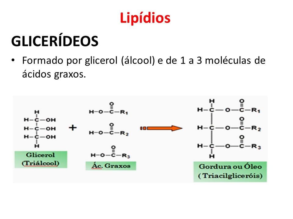 Lipídios GLICERÍDEOS Formado por glicerol (álcool) e de 1 a 3 moléculas de ácidos graxos.